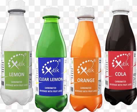 csd - xotik frujus pvt ltd