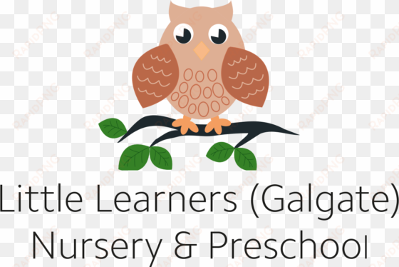 cute owl clip art free