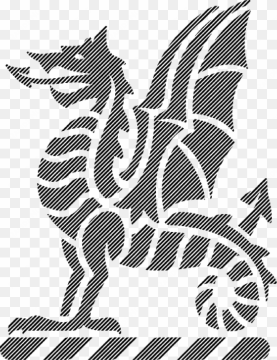 dark wyvern fade - newington college football association