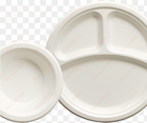 disposable plates and bowls - environmentally friendly