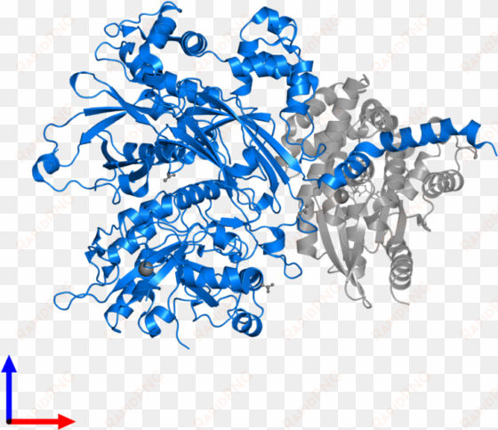 <div class='caption-body'>pdb entry 3ohm contains 1 - actin