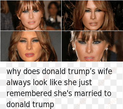 does melania trump like donald trump photo - trump and wife meme