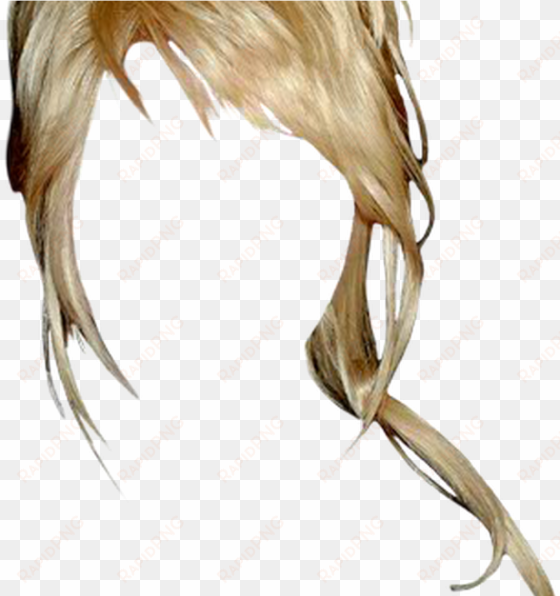 dolly parton long straight casual updo hairstyle with - updo