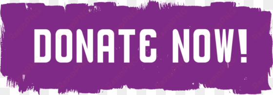 donate now - twitch cool donate buttons