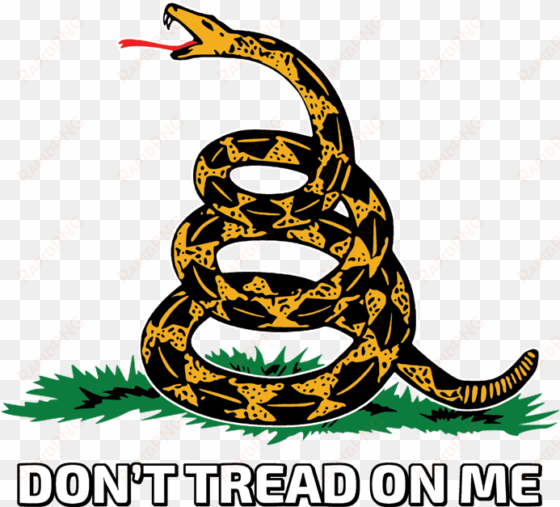 dont tread on me snake tattoos gadsden flag dont - don t tread on me leg tattoo