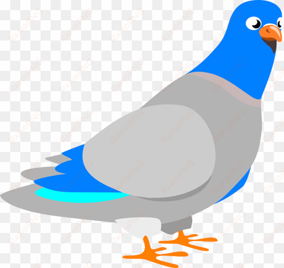 dove vector - pigeon clip art