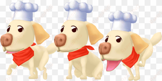 download zip archive - cooking mama 5: bon appétit!