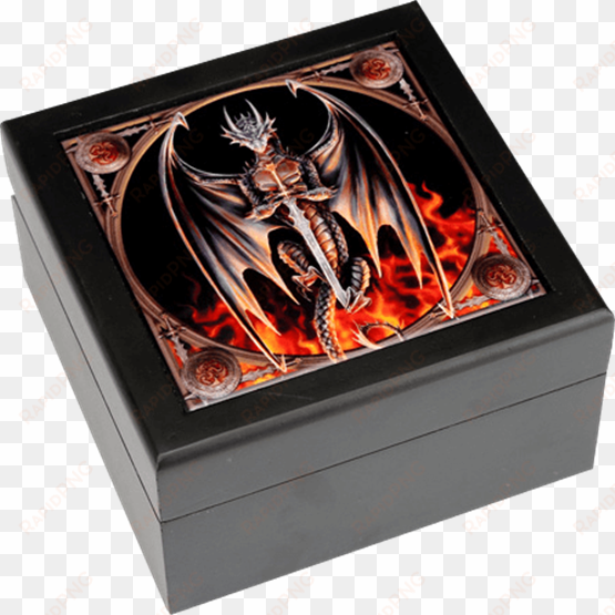 dragon warrior wooden box by anne stokes - anne stokes dragon warrior canvas print 19x25cm