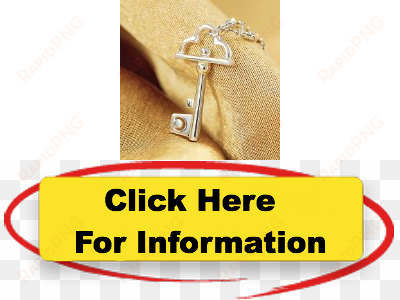 elements onecos anime nisekoi kirisaki chitoge key - ginormous book of dirty jokes