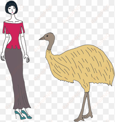 emu - flightless bird