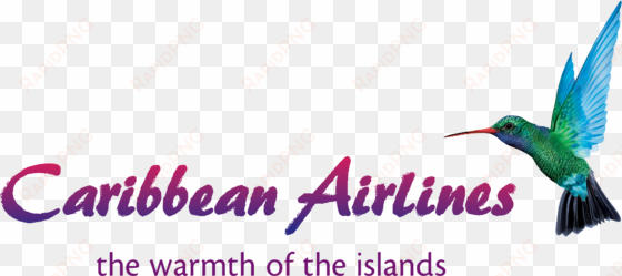 english - caribbean airlines logo