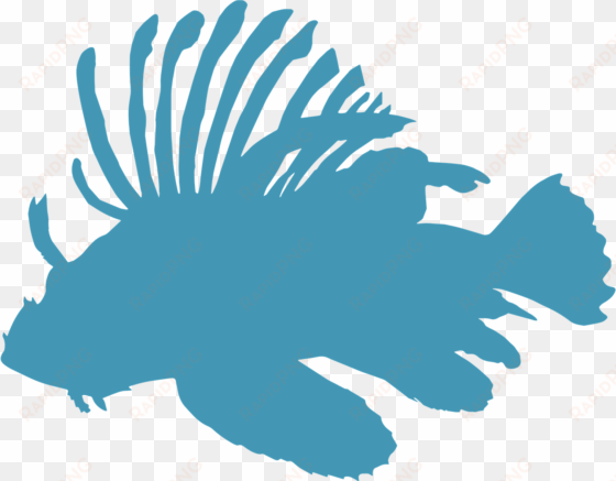 epi belize lionfish icon - lionfish icon