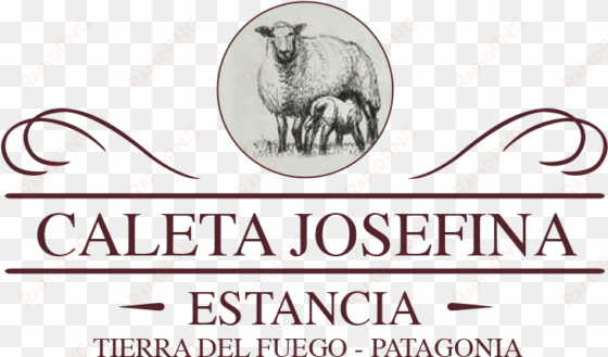 estancia caleta josefina - asado