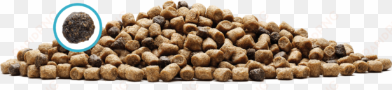 exclusive lifesource bits® - blue buffalo grain-free dry cat food, wilderness salmon