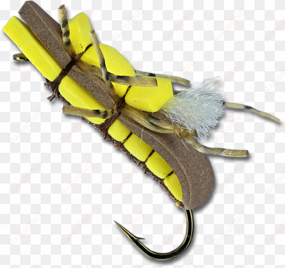fat albert - fish hook