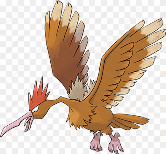 fearow - pokemon fearow