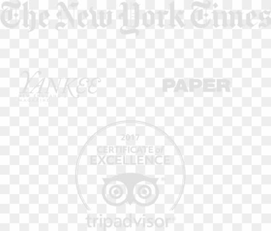 featured - new york times all the news fit