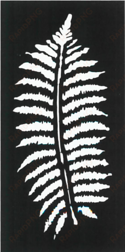 fern leaf - fern leaves decorative screen