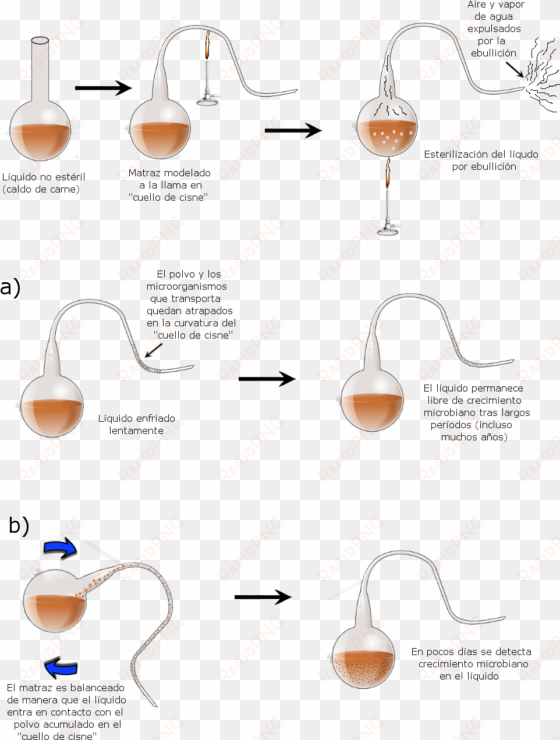 file - matraces-pasteur - design of experiments