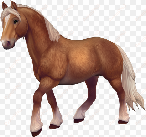 fjord horse - Стар Стейбл Северо Шведская Лошадь