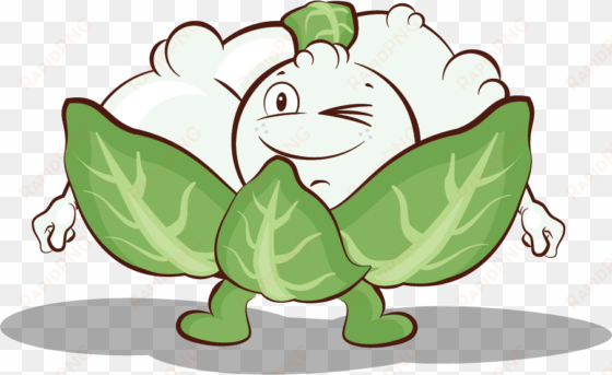 fleur fruits and vegetables, eating healthy, food, - bloemkool knuffel delhaize