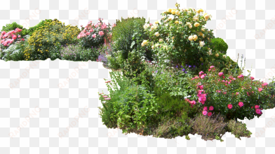 flower garden png - plants png