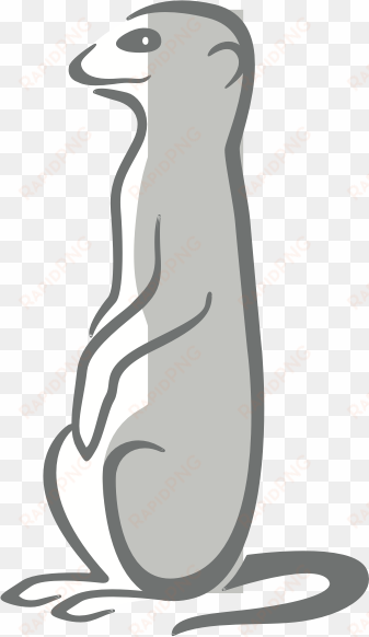footer-meerkat - meerkat