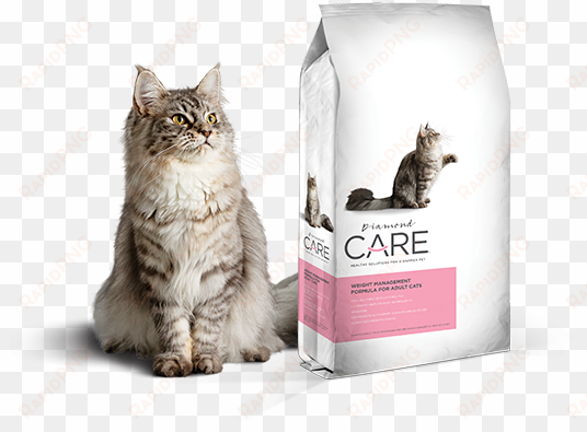 for adult cats - diamond care weight management cat