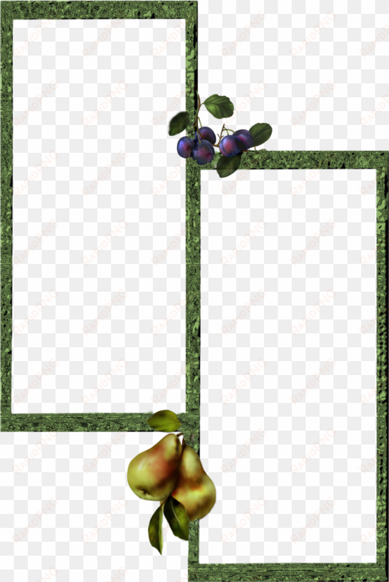 free high resolution graphics and clip art - high resolution photo frame png free
