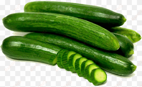 free png cucumbers png images transparent - cucumber images free