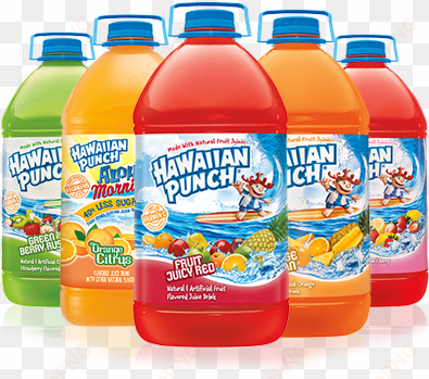 fruit punch png - hawaiian punch fruit juicy red, 1 gal bottle
