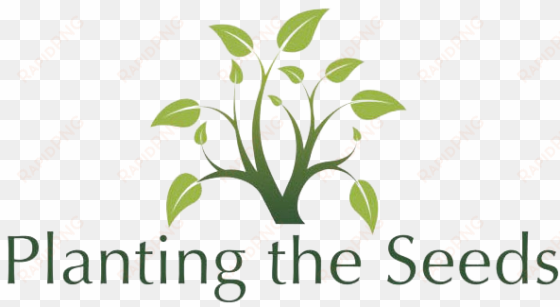 fundraising planting the seeds - herbal