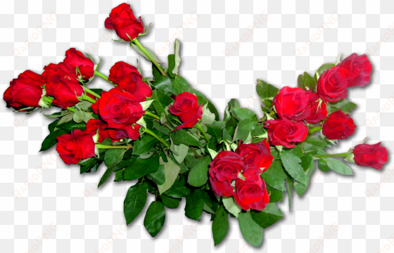 garden roses flower bouquet floribunda - Рамки На Прозрачном Фоне Розы