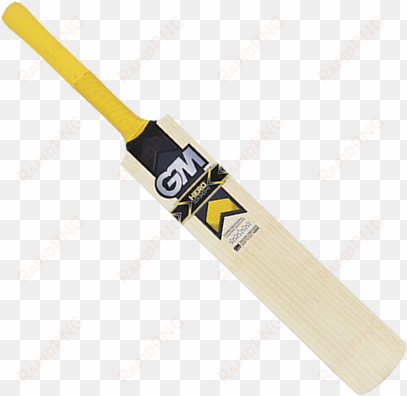 gm dxm hero cricket bat front - gm cricket bats