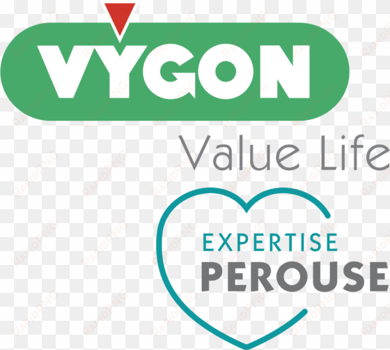 gold corner sponsors - vygon logo