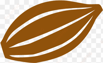 graine de cacao png