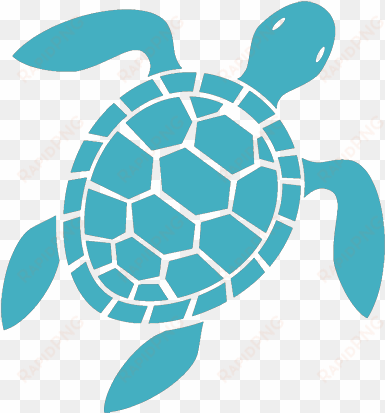 great pricing - sea turtle icon png