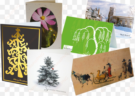 greeting / thank you cards - greeting card printing