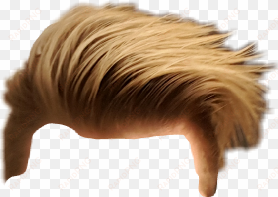 hair sticker - horse