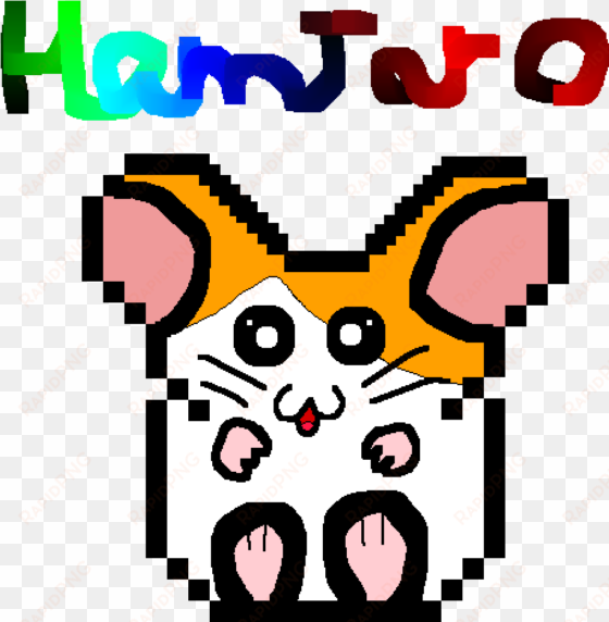 hamtaro