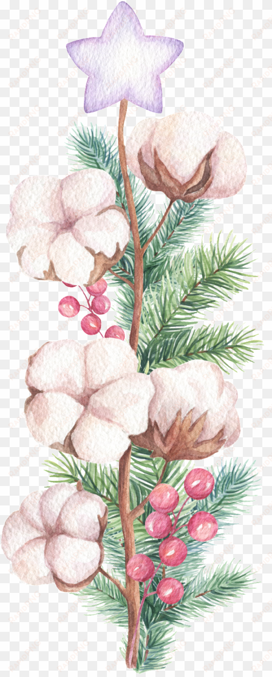 hand painted a cotton branch png transparent - christmas day