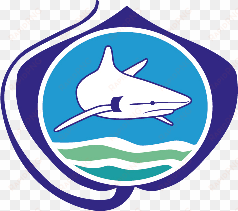 himbers bring home awards from the 2018 sharks international