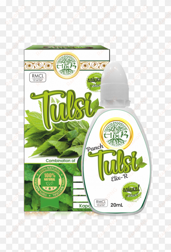 holy basil