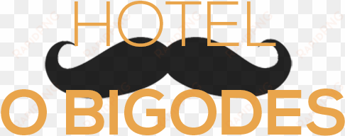 hotel o bigodes - hostel swanky mint