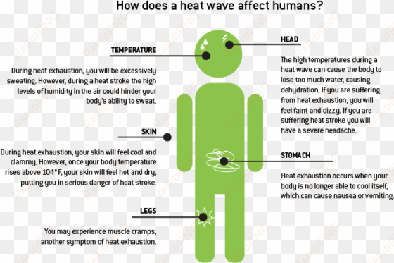 how a heat wave affects humans - heat affects the body