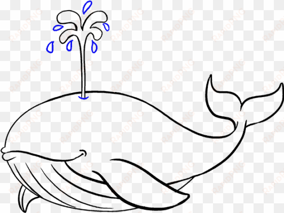 how to draw whale - blue whales to draw