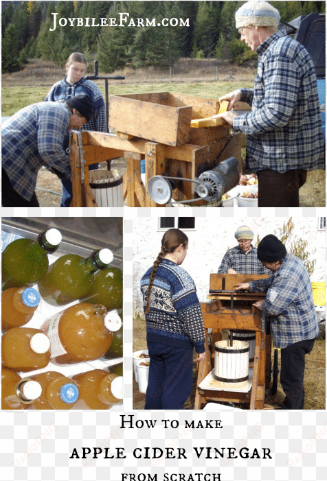 how to make apple cider vinegar - apple cider vinegar