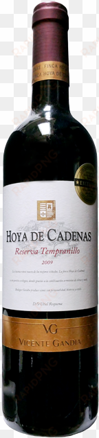 hoya de cadenas tempranillo reserva - wine bottle