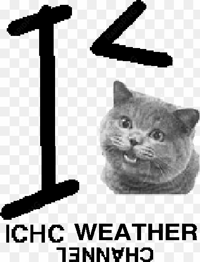 ichc weather channel logo old - happy cat plain meme