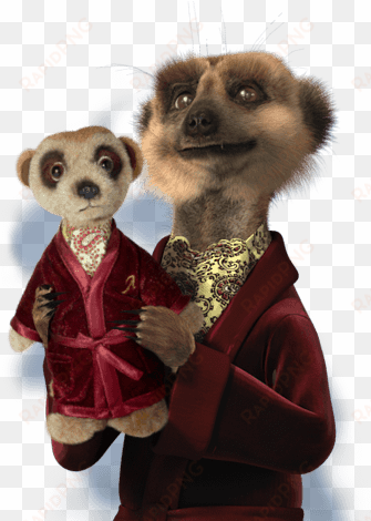 image - compare the meerkat toy